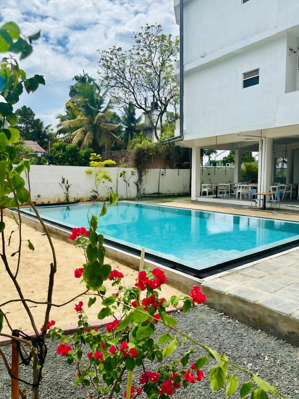 Hotel Mirissa Regent Dış mekan fotoğraf